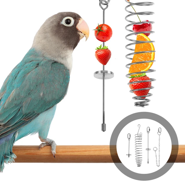 4 Pcs Cockatiel Foraging Toys Parrot Forager Fruit Fork