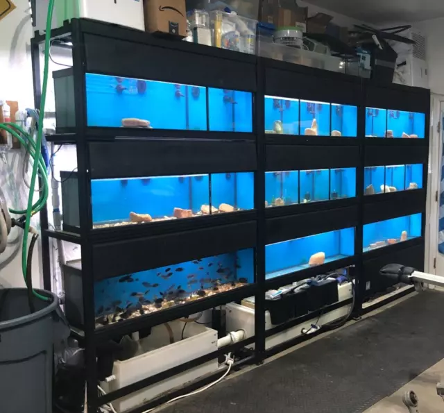 270 Gal Commercial Marineland Vertical Aquarium Fish Tank Bio-wheel