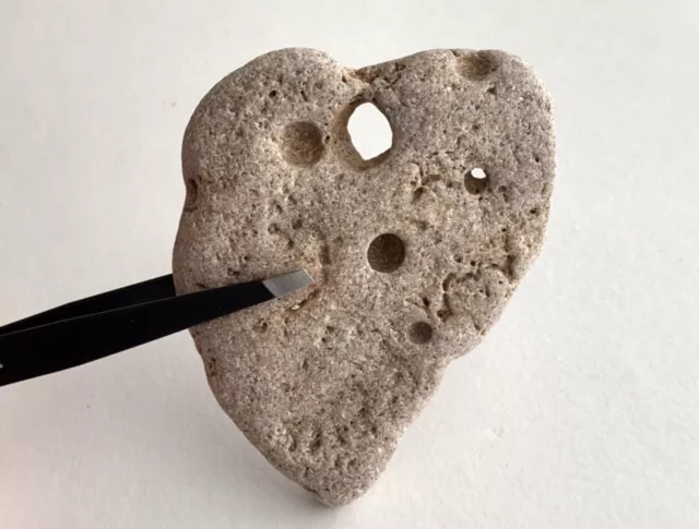 Natural❤️Heart Shaped Beach large  Holey Rock Love Fairy Stone Valentine Hag USA