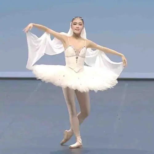 Adult Professional Ballet Tutu Ballet Dance Skating Dress Swan Ballet Dress 4