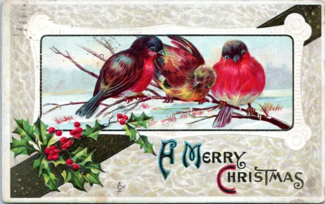 Vintage Christmas Birds Postcard 1911 Red Breast Robin OS