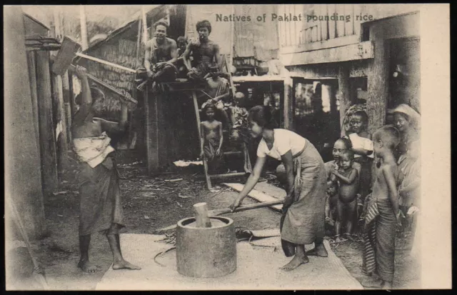 ca 1905 Bangkok Thailand Litho-AK Natives of PAKLAT rice SIAM ungelaufen wie neu