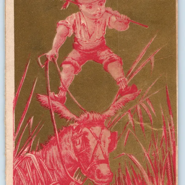 c1880s Strange Child Stands on Horse Ears Victorian Trade Card Stock Gold C24