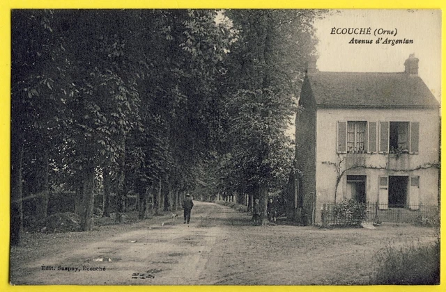cpa Normandy ECOUCHÉ (orne) Avenue d'ARGENTAN