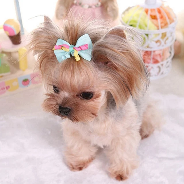 Accesorios para el pelo de cachorro gato mascota clips para el pelo de mascotas aseo de perro horquilla
