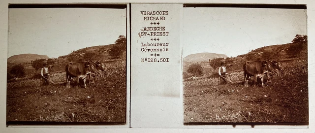 LABUREUR CEVENNOIS PLAQUE VERRE 45x107 VUE STEREOSCOPIQUE VERASCOPE RICHARD