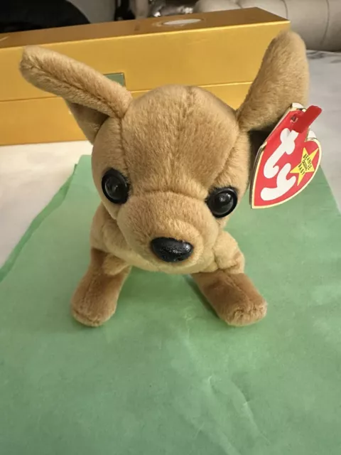 Ty Beanie Baby Tiny The Chihuahua Dog  Excellent Condition! 2