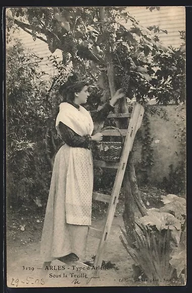 Ansichtskarte Arles, Frau in Tracht bei der Weinlese 1903