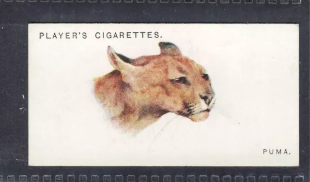 PUMA - 85 + year old English Tobacco Card # 40