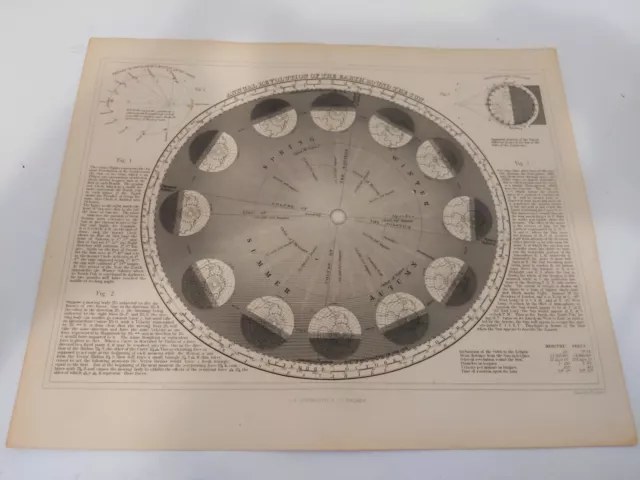 1869 Engraving "Annual Revolution of the Earth Around the Sun" 12.5 x 10.25