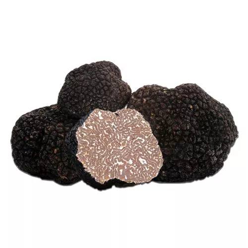 Precious Italian fresh black truffles. Black truffle 230g.8,1 oz. Mushrooms.