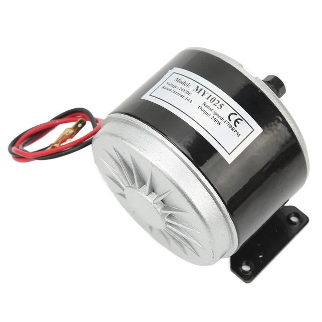 Motore Elettrico DC Spazzolato 24V 250W MY1016 Per E-bike, Scooter, Go-kart - 2750 RPM