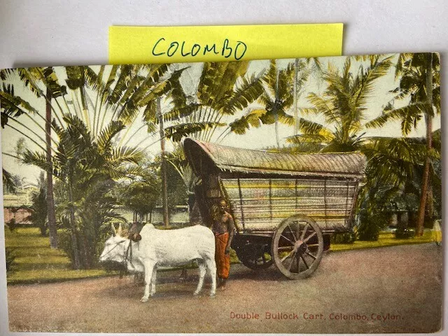 Double bullock cart Colombo Ceylon Vintage Postcard