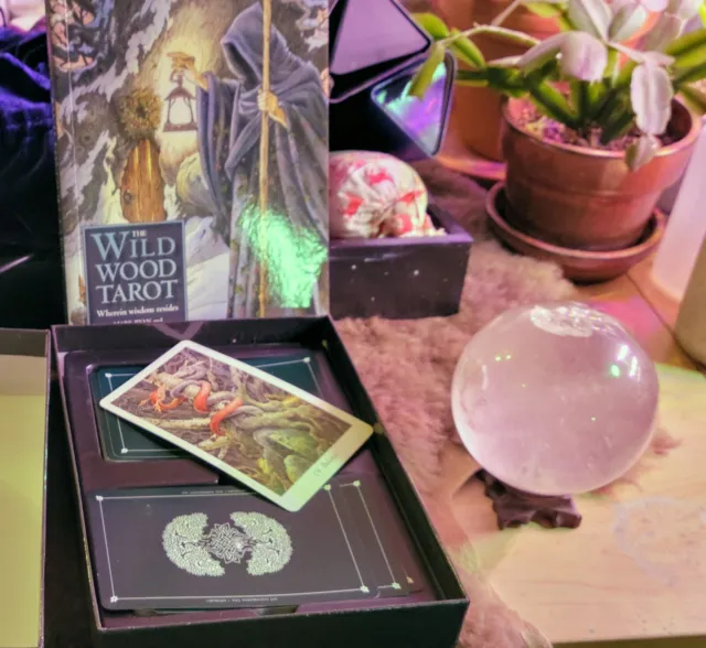 The Wild Wood Tarot Deck Kit, Boxed Set | Deck & Book | Gently Used