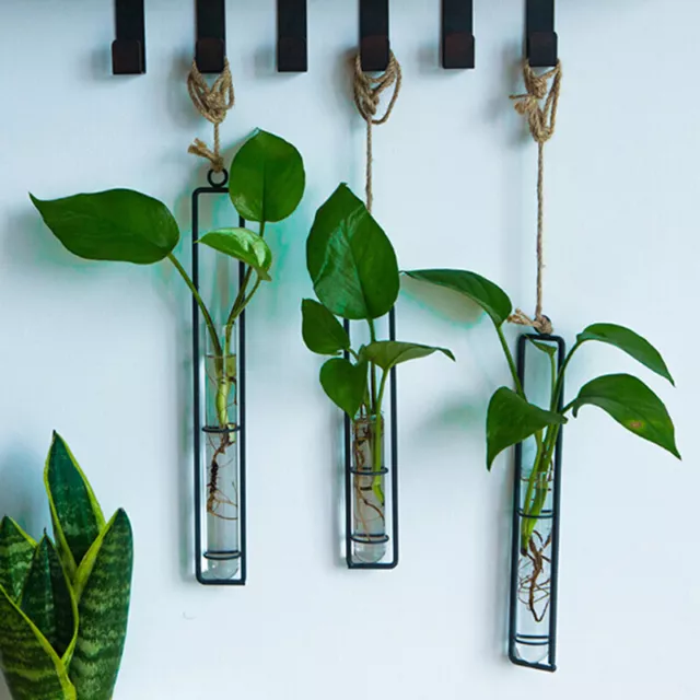 Creative Wall Hanging Flower Vase Iron Glass Hydroponics Planter Pot Transp F-xd