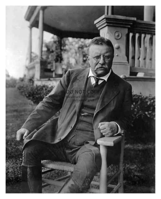 President Theodore Roosevelt Portrait 8X10 Photograph