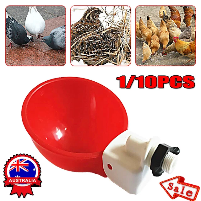 Automatic Water Cups Poultry Drinker Waterer Chicken Duck Quail Drinking TL