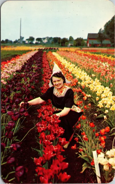 Tulip Time Dutch Woman Holland Michigan MI Unposted Postcard