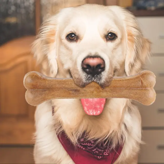 fr 8 Inch Dog Chews Toys Non-Toxic Molar Stick Anti-bite for Small Medium Large