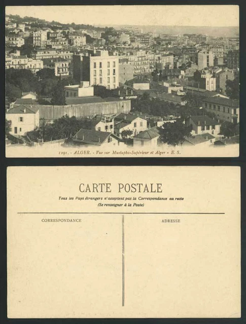 Algeria Old Postcard Vue Sur Mustapha Superieur et Alger - General View Panorama