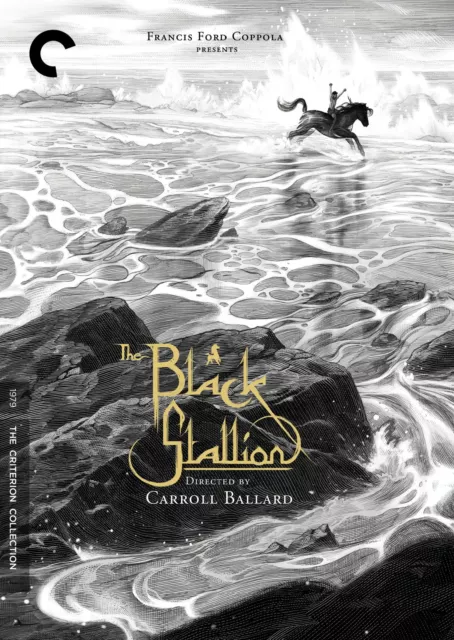 The Black Stallion (DVD) Kelly Reno Mickey Rooney Teri Garr