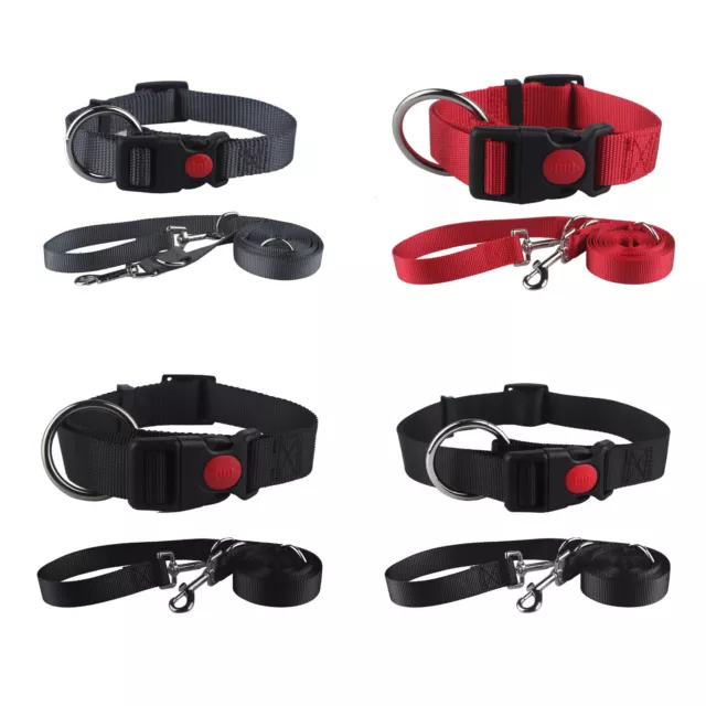 Hundeleine und Halsband Set mit Sicherung, Hundehalsband, Welpenhalsband