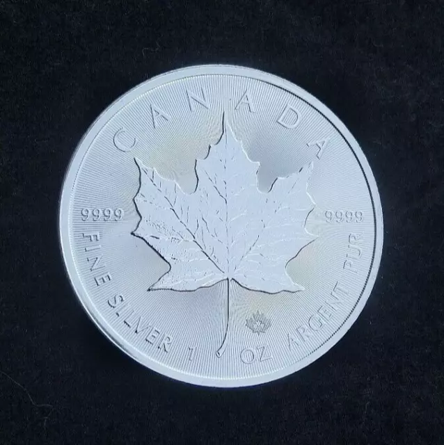2023 Silver Canadian Maple Leaf Bullion Coin in Capsule UNC