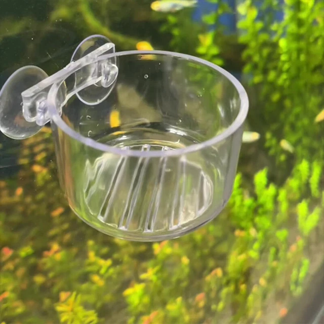 Aquarium Red Worm Feeder Cone Glass Cup Feeding for Fish Tank Fish ♧