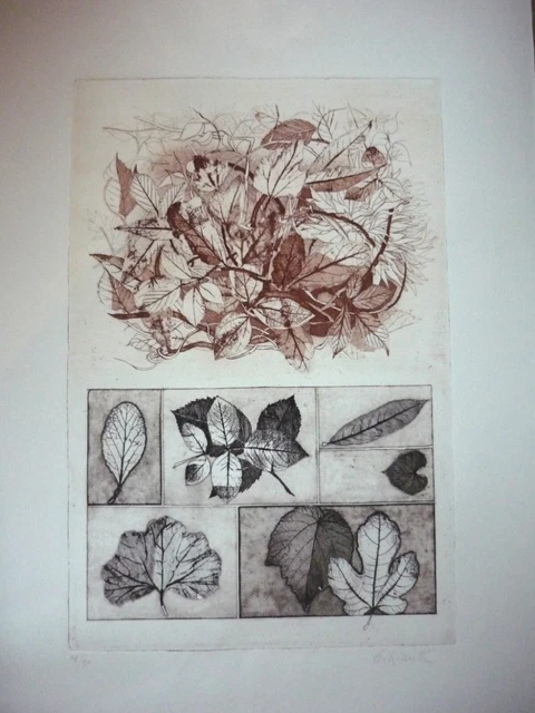 Paola Pitzianti, Erbario, acquaforte acquatinta a due colori,1975