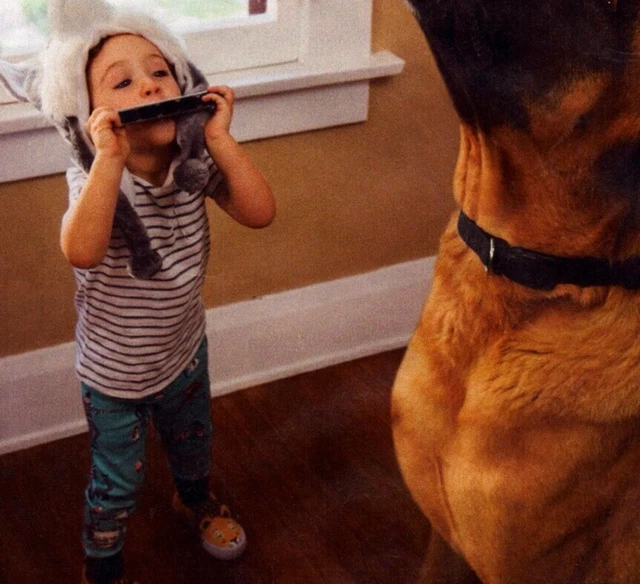 2021  Pedigree Dog Food Little Girl Plays Harmonica Dog Howls Print Ad