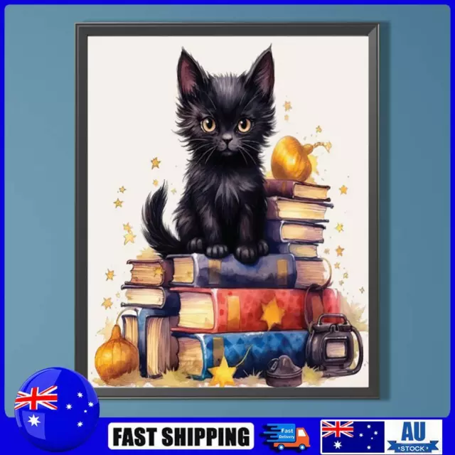 5D DIY Full Round Drill Diamond Painting Black Cat in a Book Home Decor 40x50cm