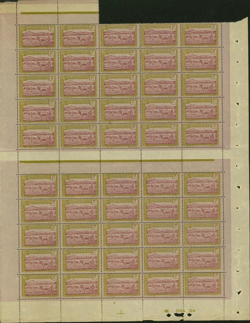 French Cameroun 1925- MNH stamps. Yvert Nr.: 106. Sheet of 50..... (EB) MV-17464