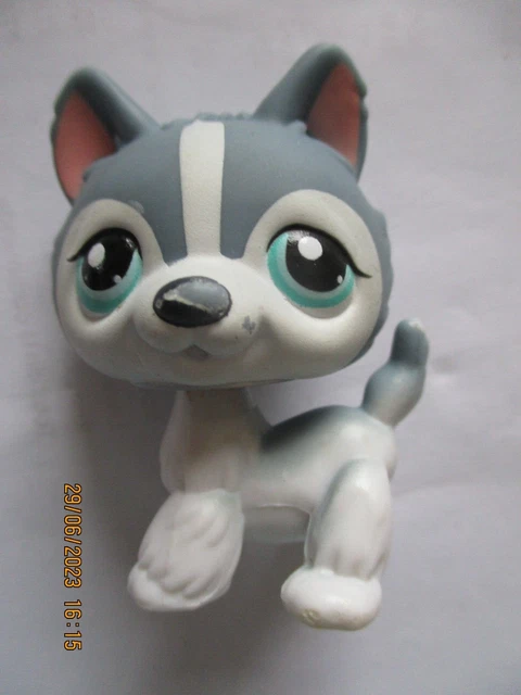 Lps00770 My Littlest Petshop Pet Shop LPS chien husky 2109 dog