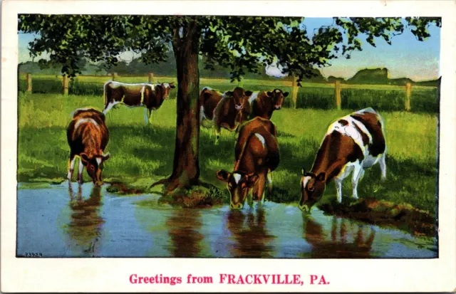 Postcard~Greetings From Frackville Pa.~Cows Drinking From Pond~Posted 1938