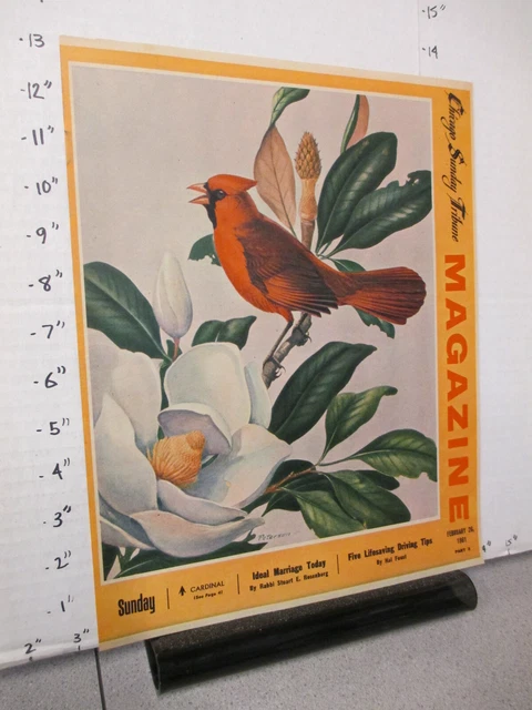 newspaper ad 1961 Chicago Tribune cover only Cardinal bird magnolia flower
