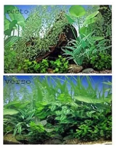 poster fond d aquarium decor plantes double face 150cm x50cm 2