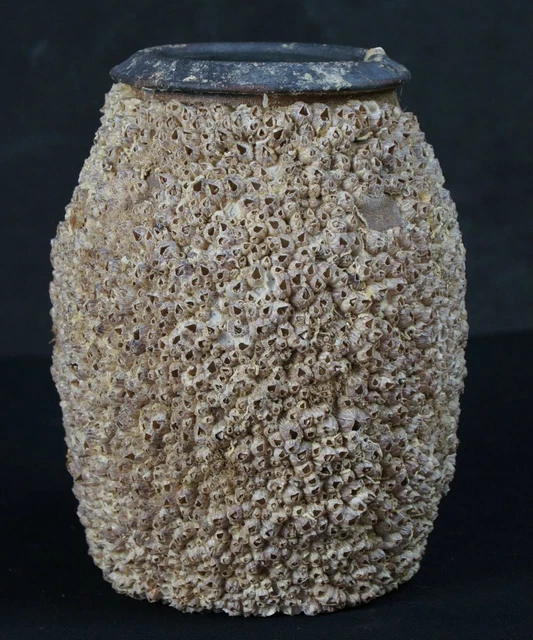 Antique Takotsubo octopus vase trap 1800s Japan fishing traditions