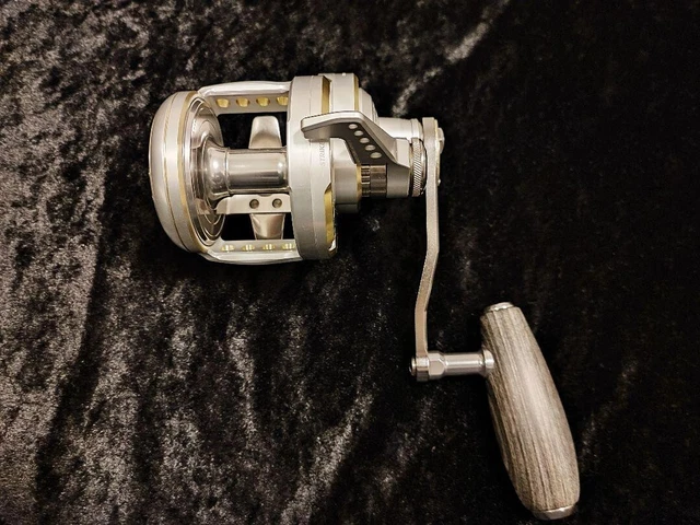 STUDIO OCEAN MARK Bhl100Lo Ms North Setter Original