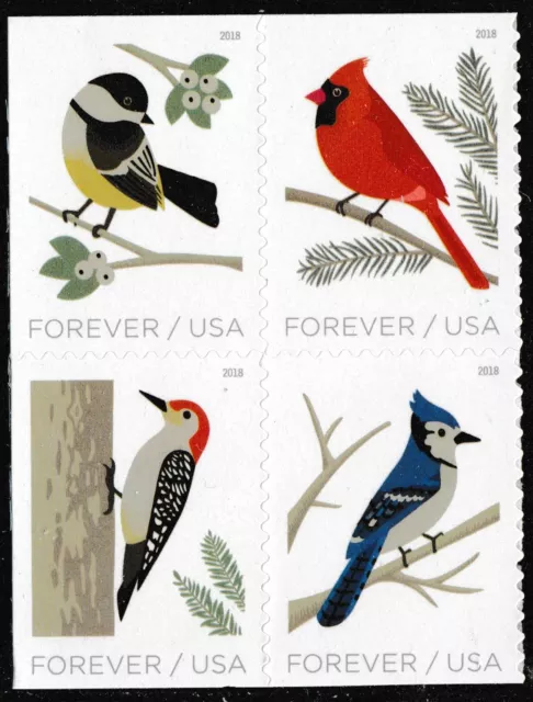 BOOKLET of 20 USPS Birds in Winter Self-Adhesive Forever Stamps BOOK SHEET  PANE