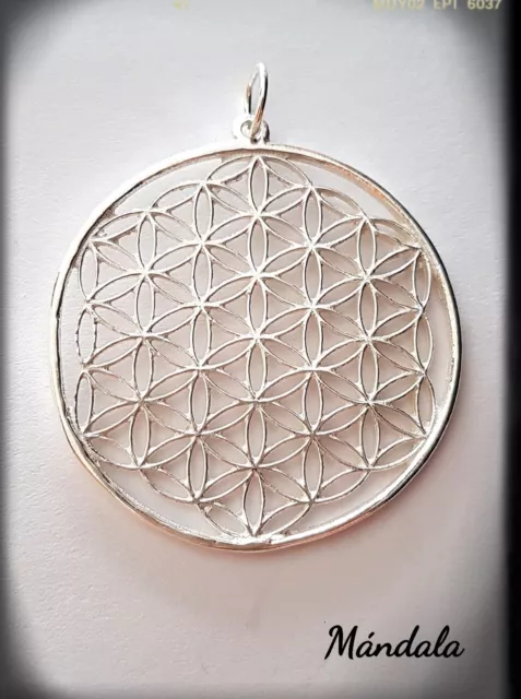 Mandala Flor De La Vida Geometria Sagrada Flower Of Life Silver Plata De Ley
