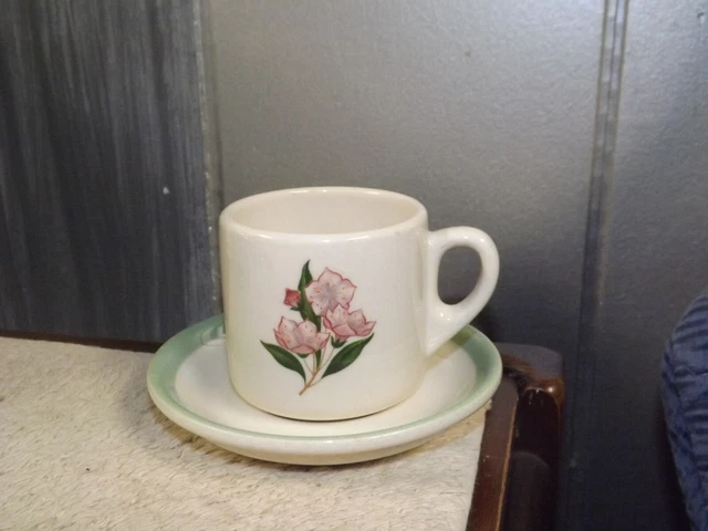 Pennsylvania Railroad PRR Mountain Laurel Pattern Cup & Saucer Syracuse China