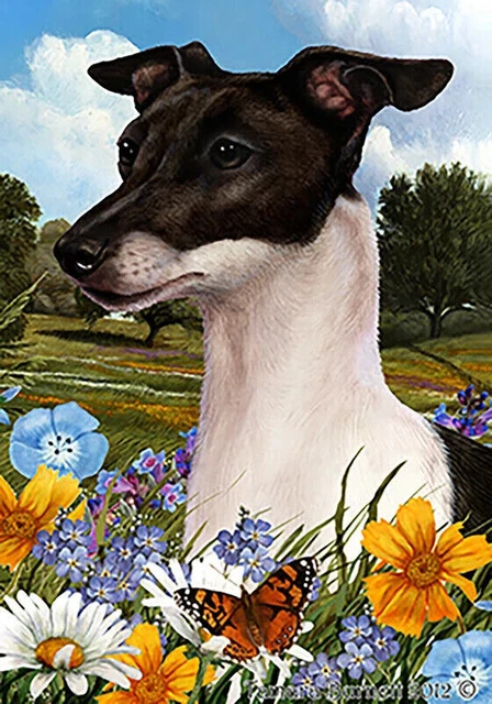 Summer Garden Flag - Blue and White Italian Greyhound 189831