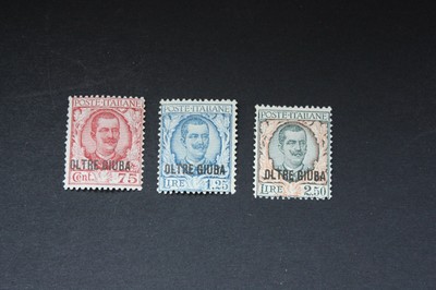 335 Colonie Nuovo Oltre Giuba 1,25 lire Floreale soprastampato 1926 