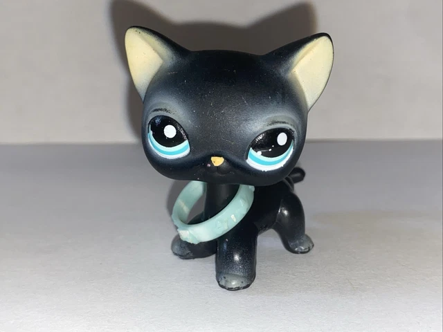 Petshop Hasbro Chat Européen Numéro 1170