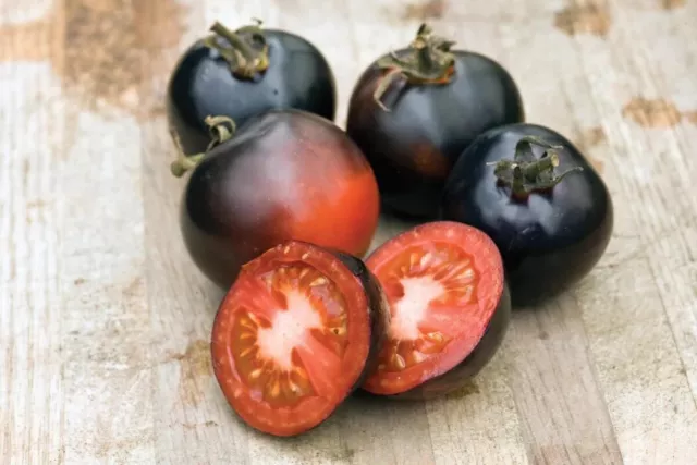 TOMATO Indigo Rose 50seed (Indeterminate) NEW VARIETY Purple Black & Red Tomato 3