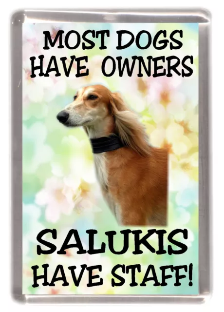 Saluki Dog Fridge Magnet "Most Dogs Have Owners Salukis Have Staff!" - Starprint