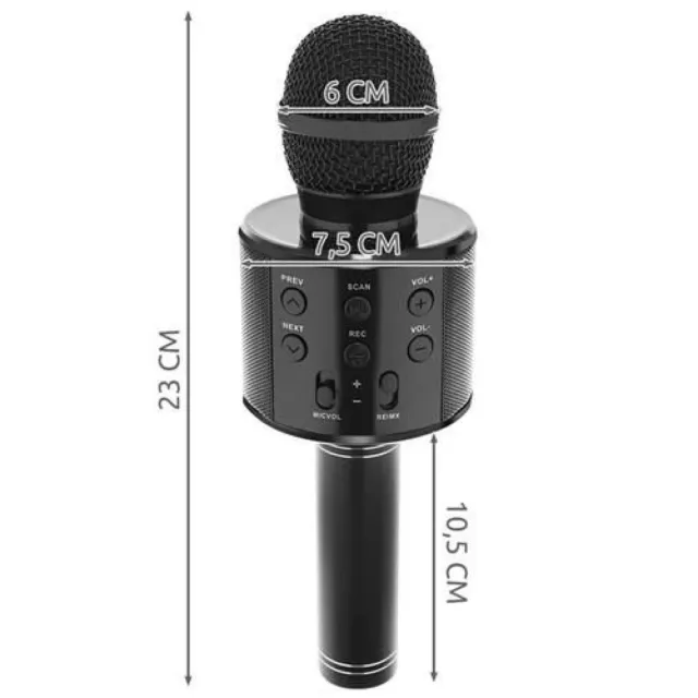 Microphone Karaoké Professionnel Sans fil Bluetooth Chant Réunion 2
