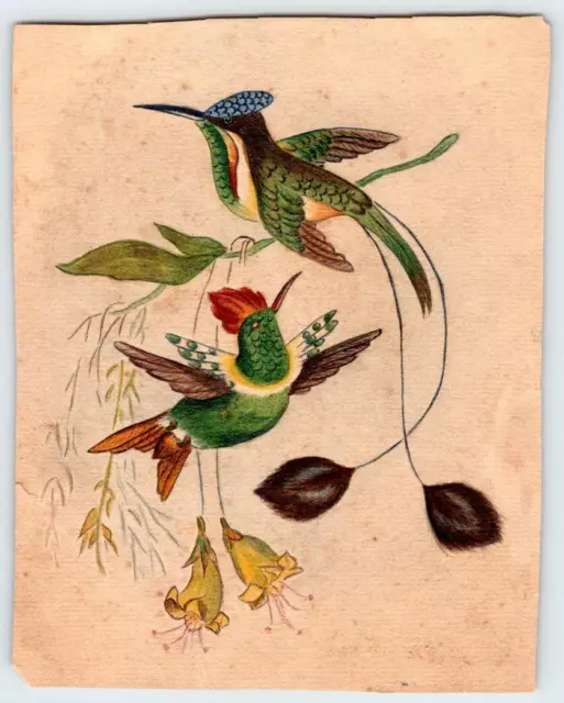 1880's SMALL ORIGINAL HAND PAINTED BIRDS & FLOWERS FROM AN ANTIQUE SCRAPBOOK