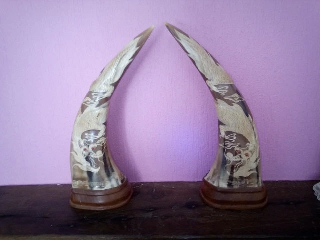 Massacre Corne de Gazelle dAfrique ( Bubale