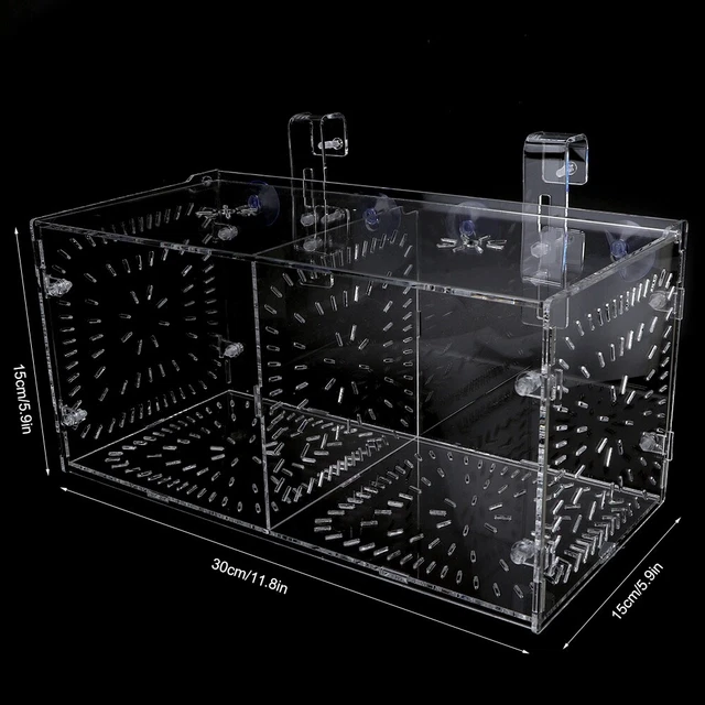 Acrylic Aquarium Isolation Box For Fish Tank
